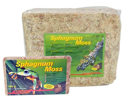 Lucky Reptile Sphagnum Moss - rašelinníkov 100g