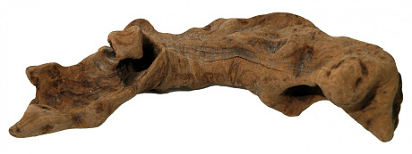Lucky Reptile Opuwa Wood 20-40 cm