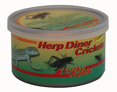 Lucky Reptile Herp Diner - cvrčky 35g 35g - veľkí
