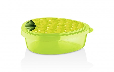 box svačinový 19,5x16x6cm GRAPES PH ZE